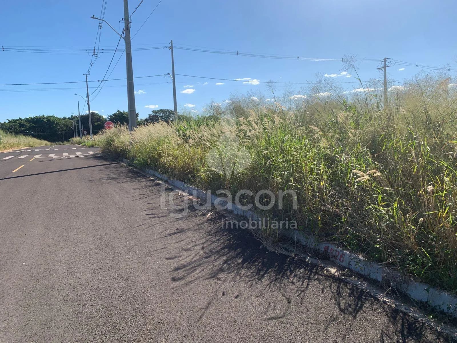 Terreno em Ecoville Ii
